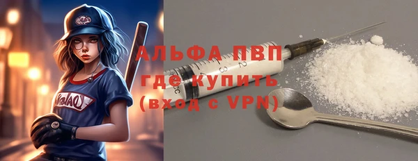 a pvp Бородино