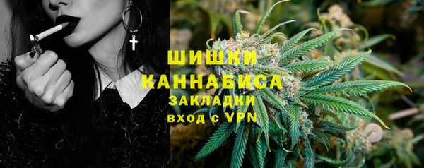 a pvp Бородино