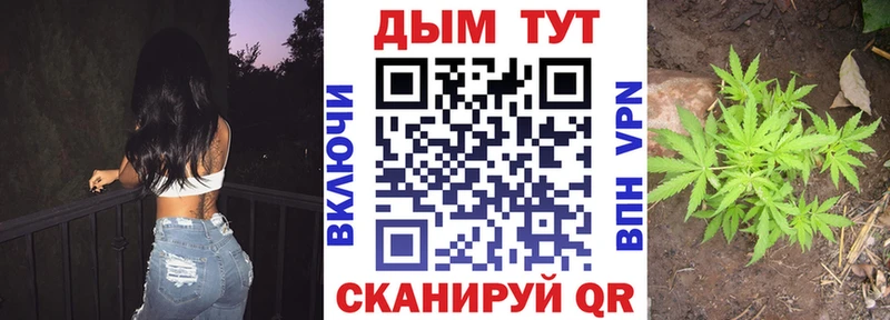 что такое наркотик  Пенза  Канабис Amnesia 
